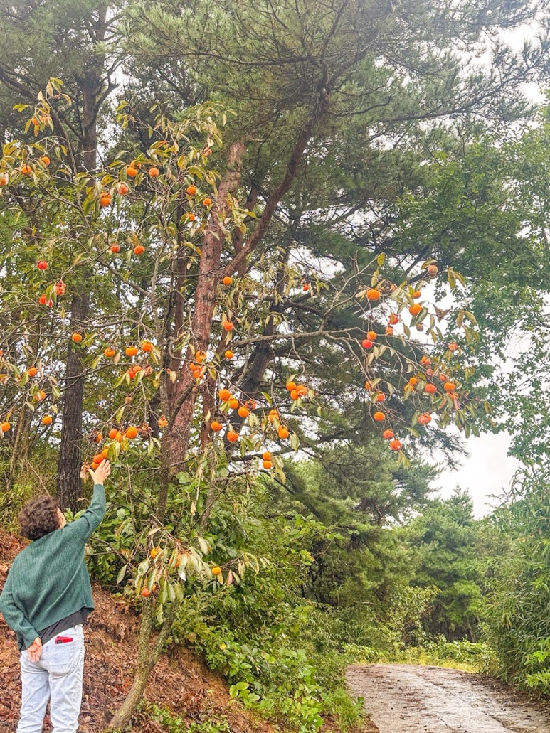 [왓츠인마이블로그] 귀국일상 6주차 : 알토란 추석🌰 | 그녀와 우중데이뜨☔️🎤 | 황금매트리스와 청첩장은 어디에🧐 | 따따따🥖 ...