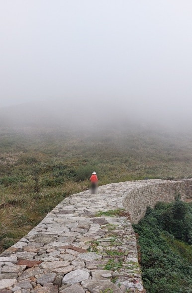 Hwa Wang Mountain Eulalia Field