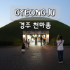 경주 경주 천마총 가족여행: 유물 관람부터 아름다운 야경까지