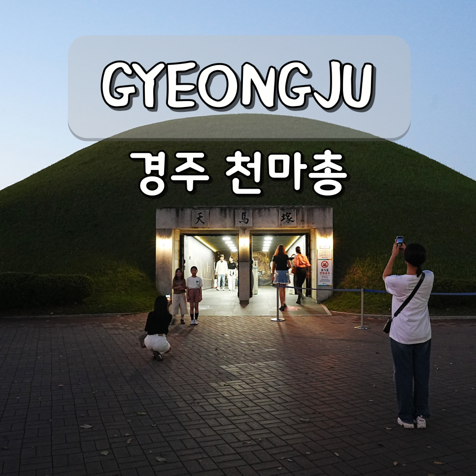 경주 천마총 가족여행: 유물 관람부터 아름다운 야경까지
