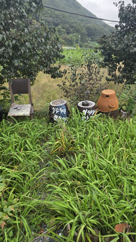 카페 목화 이미지