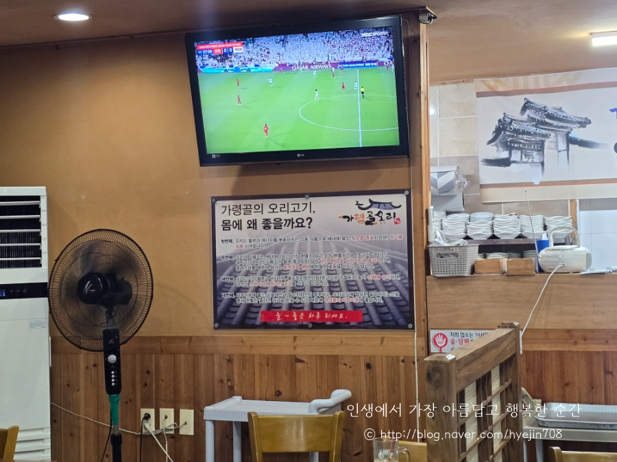 가령골오리 사진 7