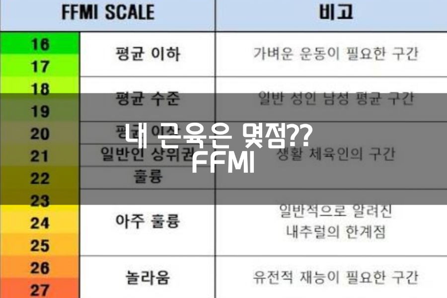 내 근육 수준은 몇 점? FFMI 계산법으로 확인하자[두정동pt/두정동헬스] : 네이버 블로그