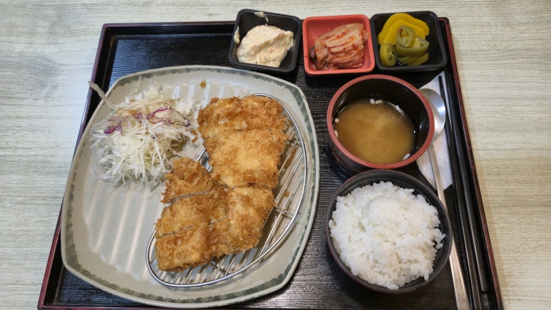 하치 사진 6