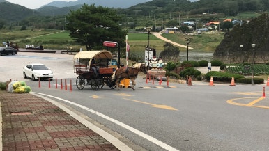 다리안스토리 게스트하우스 이미지