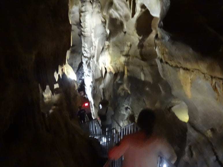 다리안스토리 게스트하우스 이미지