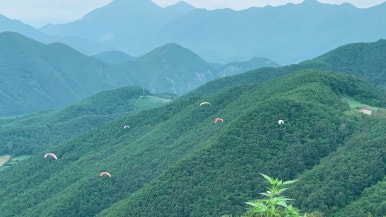 다리안스토리 게스트하우스 이미지