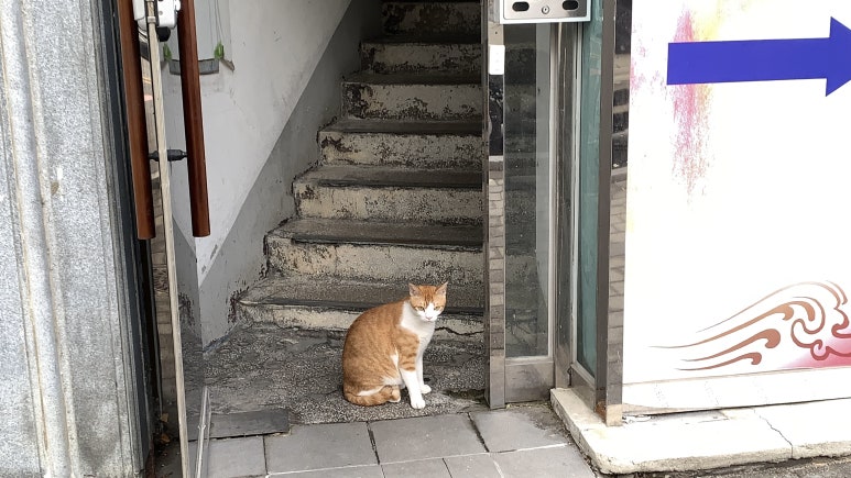 다리안스토리 게스트하우스 이미지