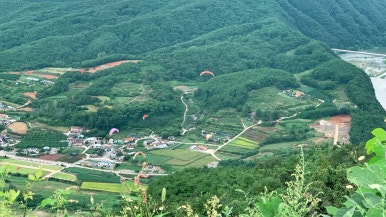 다리안스토리 게스트하우스 이미지