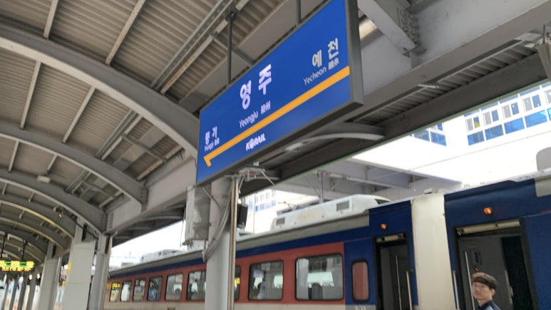 다리안스토리 게스트하우스 이미지