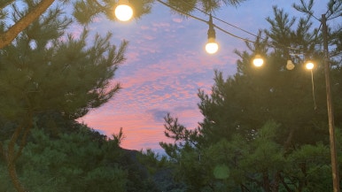 다리안스토리 게스트하우스 이미지