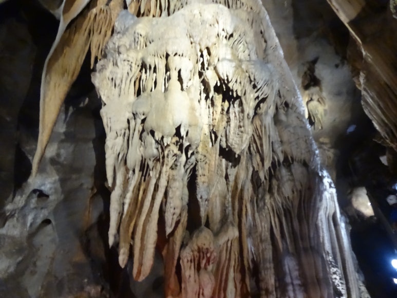 다리안스토리 게스트하우스 이미지