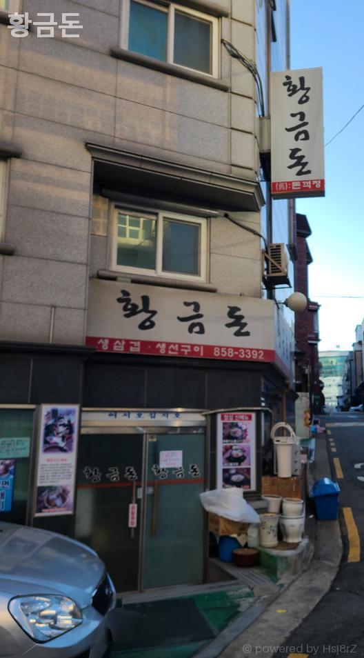 황금돈 사진 2