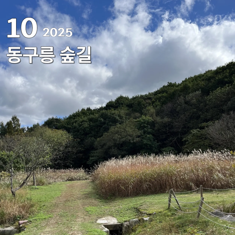 가을에 걷는 조선왕릉 숲길, 동구릉 숲길 개방 : 네이버 블로그
