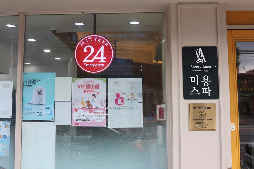 송파 24시베스트동물병원 강아지 건강검진 비용 및 후기 — 사진 3