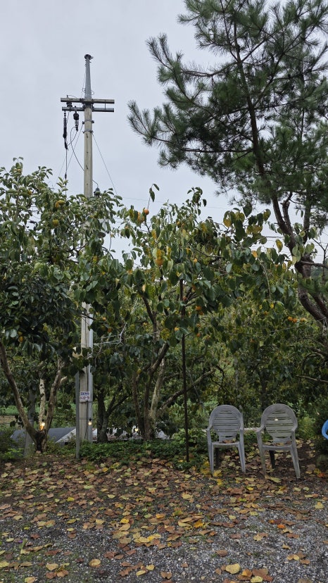 금수산어부네자연밥상 이미지