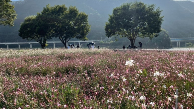 도담정원 이미지