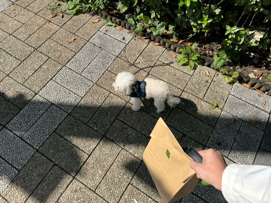 라파리나 금호점: 강아지와 함께 즐기는 쫄깃한 베이글 맛집 — 사진 20