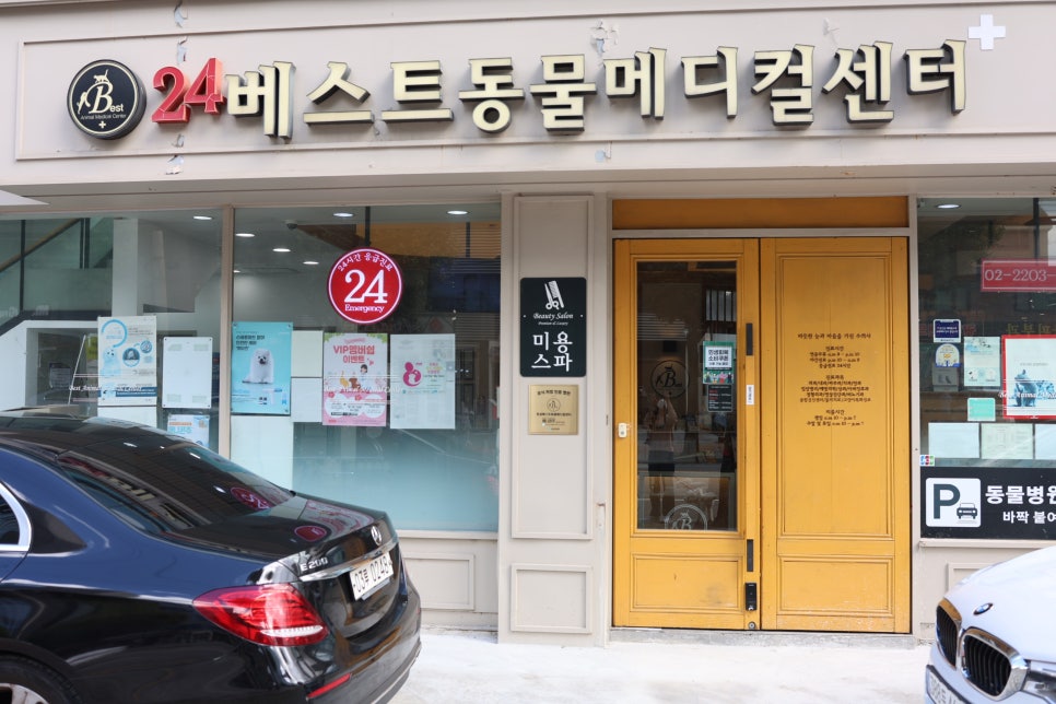 송파 24시베스트동물병원 강아지 건강검진 비용 및 후기 — 사진 2