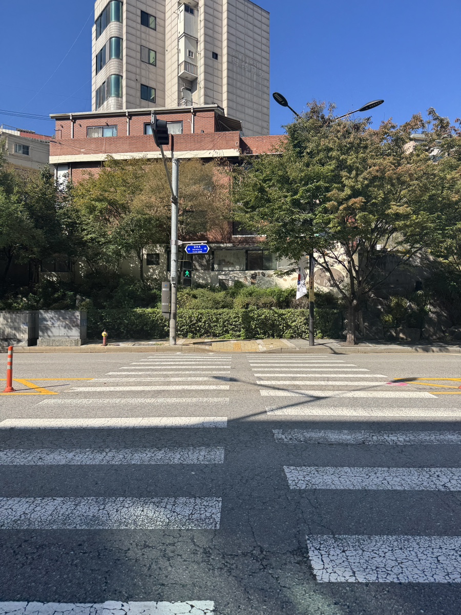 라파리나 금호점: 강아지와 함께 즐기는 쫄깃한 베이글 맛집 — 사진 2