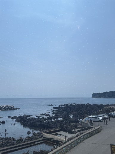 법환포구횟집식당 사진 3