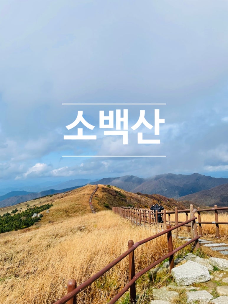 소백산국립공원 천동계곡코스