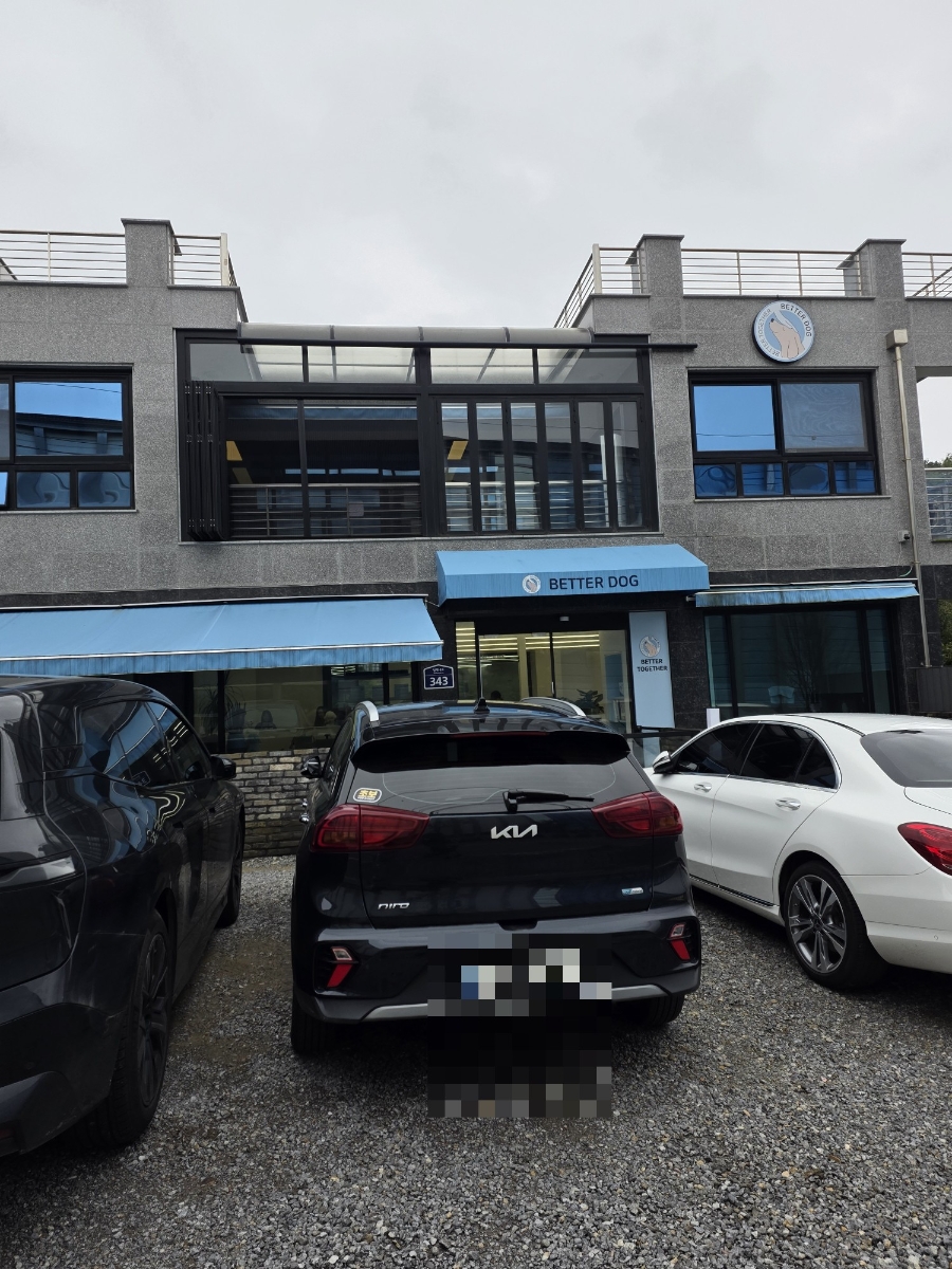 성남 베럴독 강아지 훈련소 방문 후기 및 비용 — 사진 15