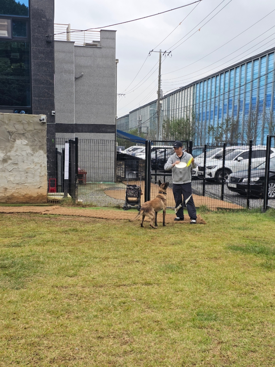 성남 베럴독 강아지 훈련소 방문 후기 및 비용 — 사진 9