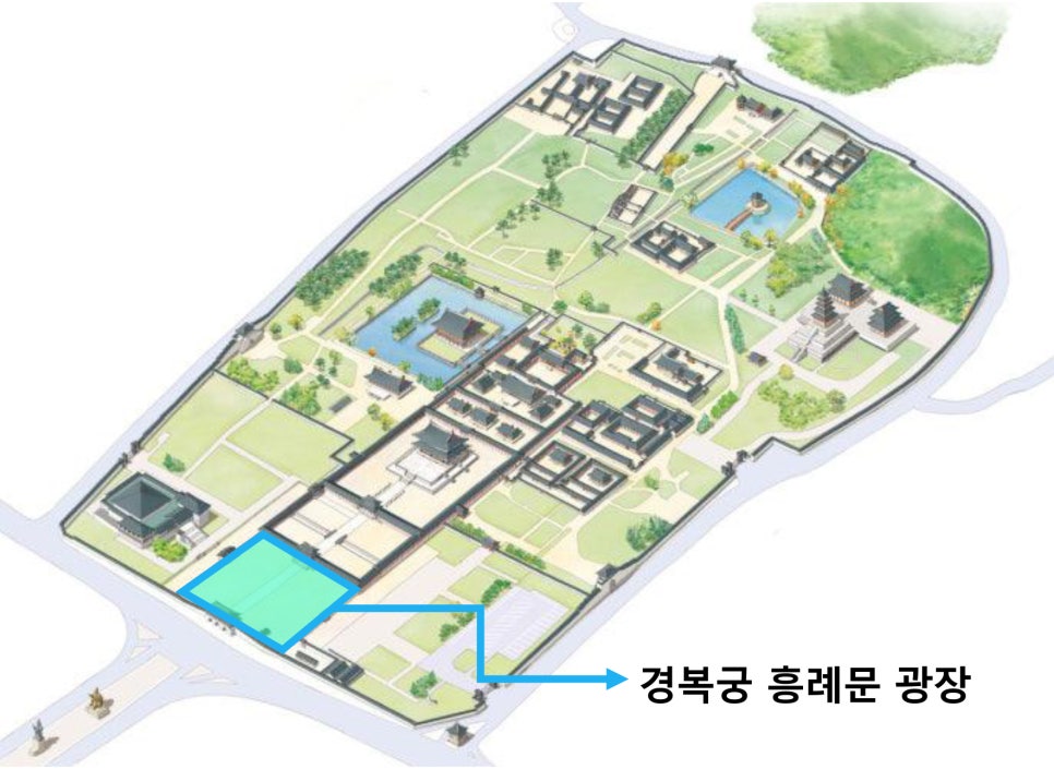 브로콜리 지역정보 관련 사진 2