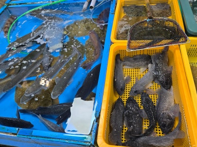 청도상회 이미지