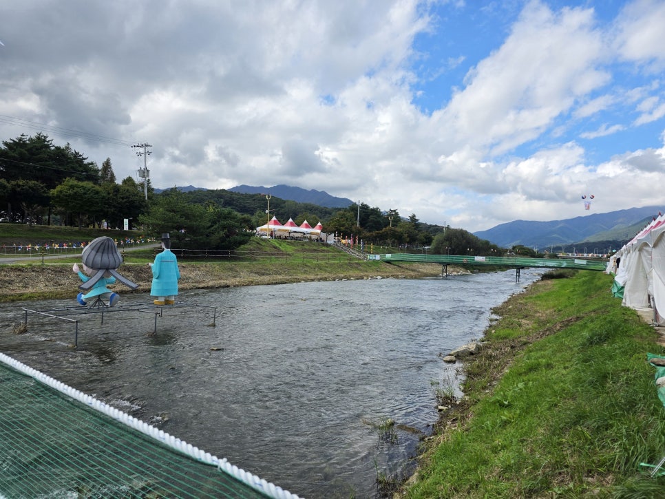 풍기인삼시장 이미지