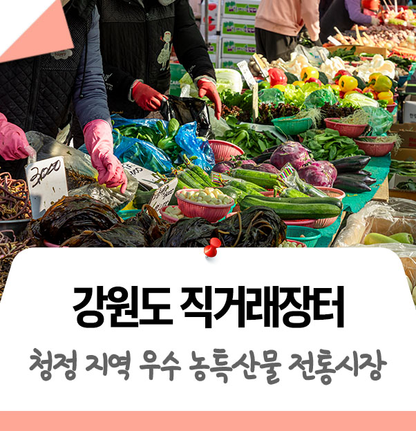 브로콜리 지역정보 관련 사진 2