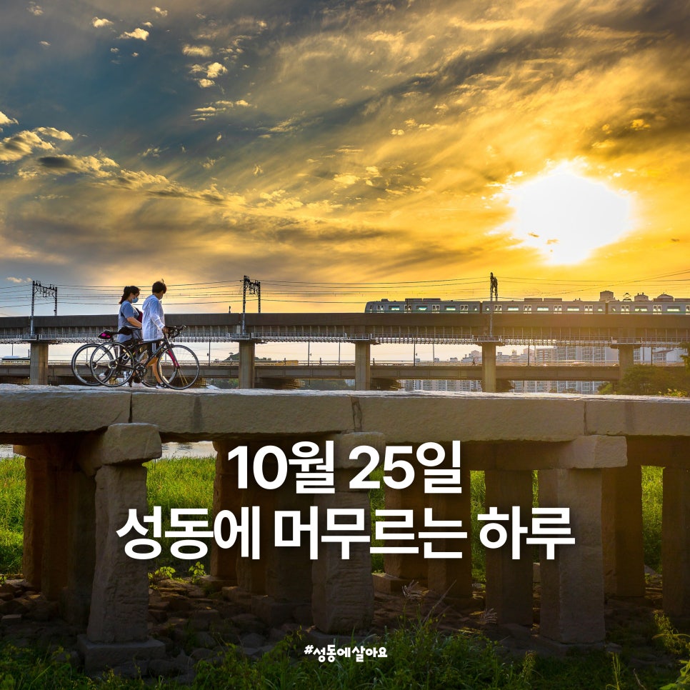 브로콜리 지역정보 관련 사진 1