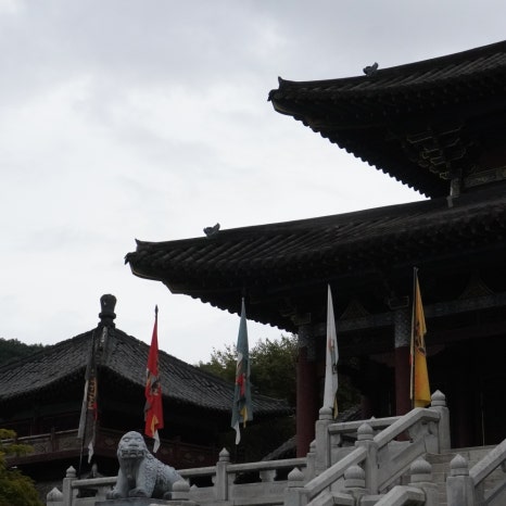 온달오픈세트장 이미지