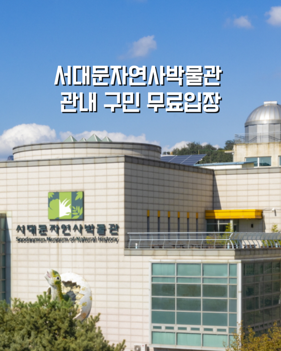 브로콜리 지역정보 관련 사진 1