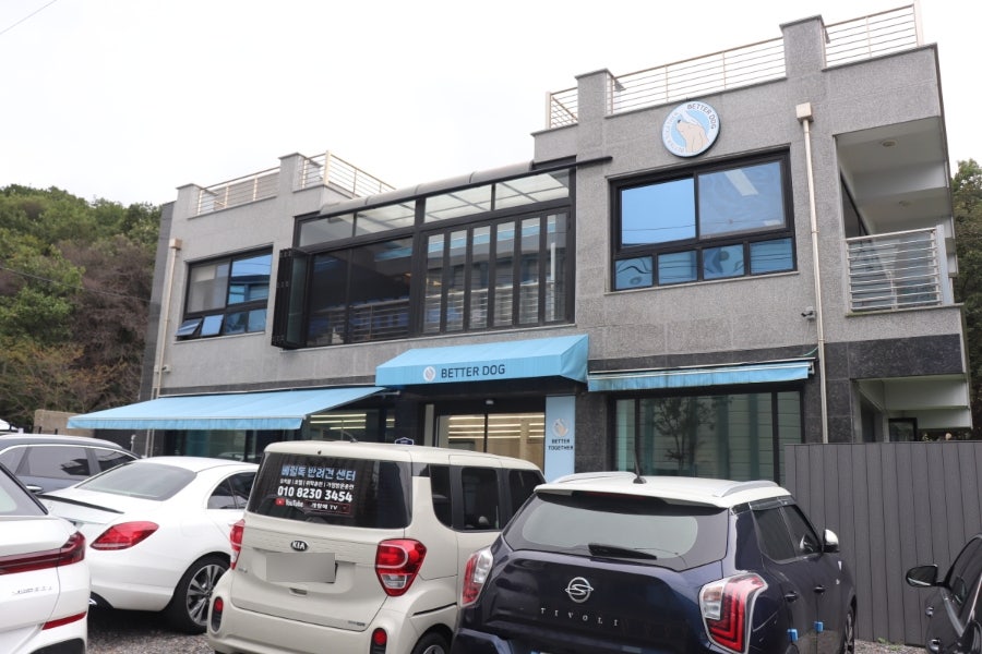 베럴독 강아지 훈련, 조재호 소장 교육 후기