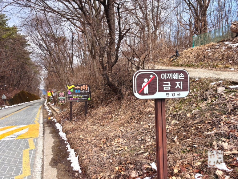 이끼터널 이미지