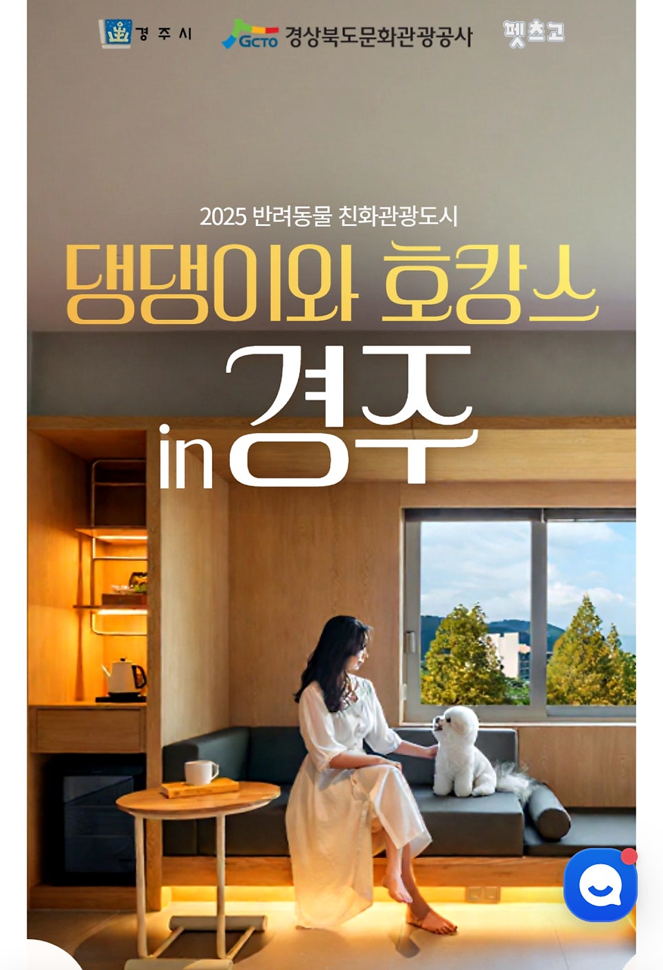 경주 키녹호텔 강아지 호캉스 1박 18만 9천원 — 사진 4