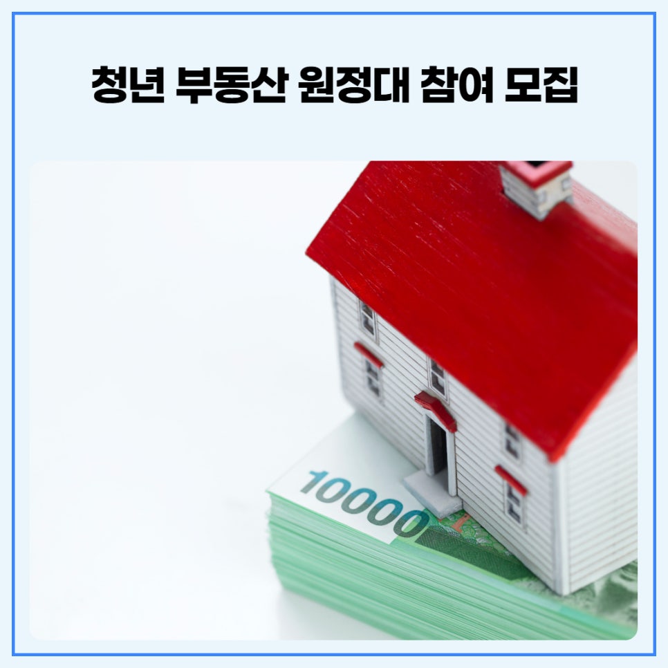 브로콜리 지역정보 관련 사진 3