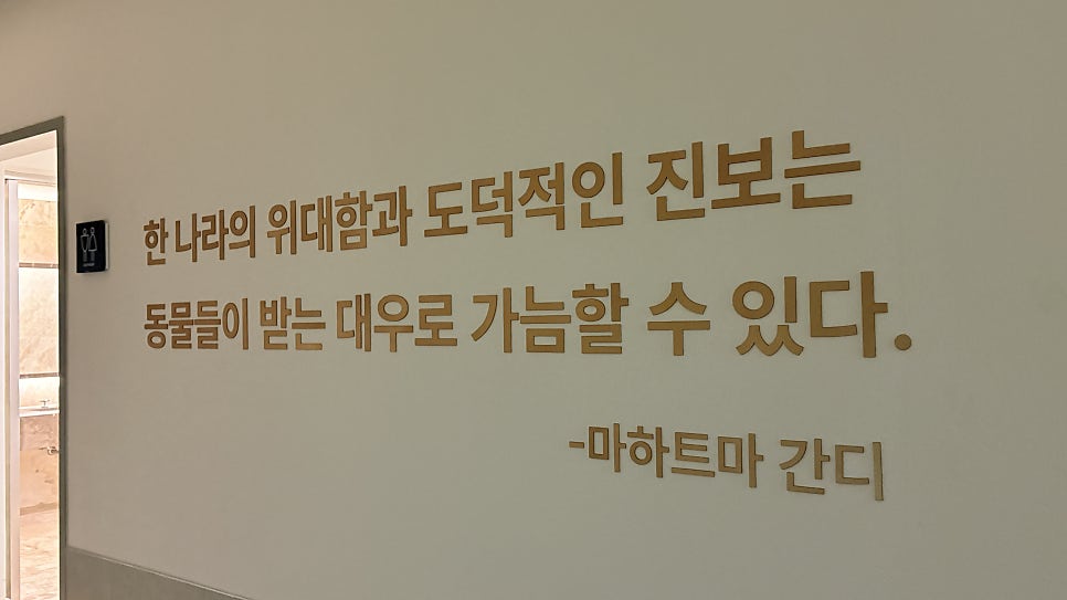 경주 키녹호텔 강아지 호캉스 1박 18만 9천원 — 사진 10