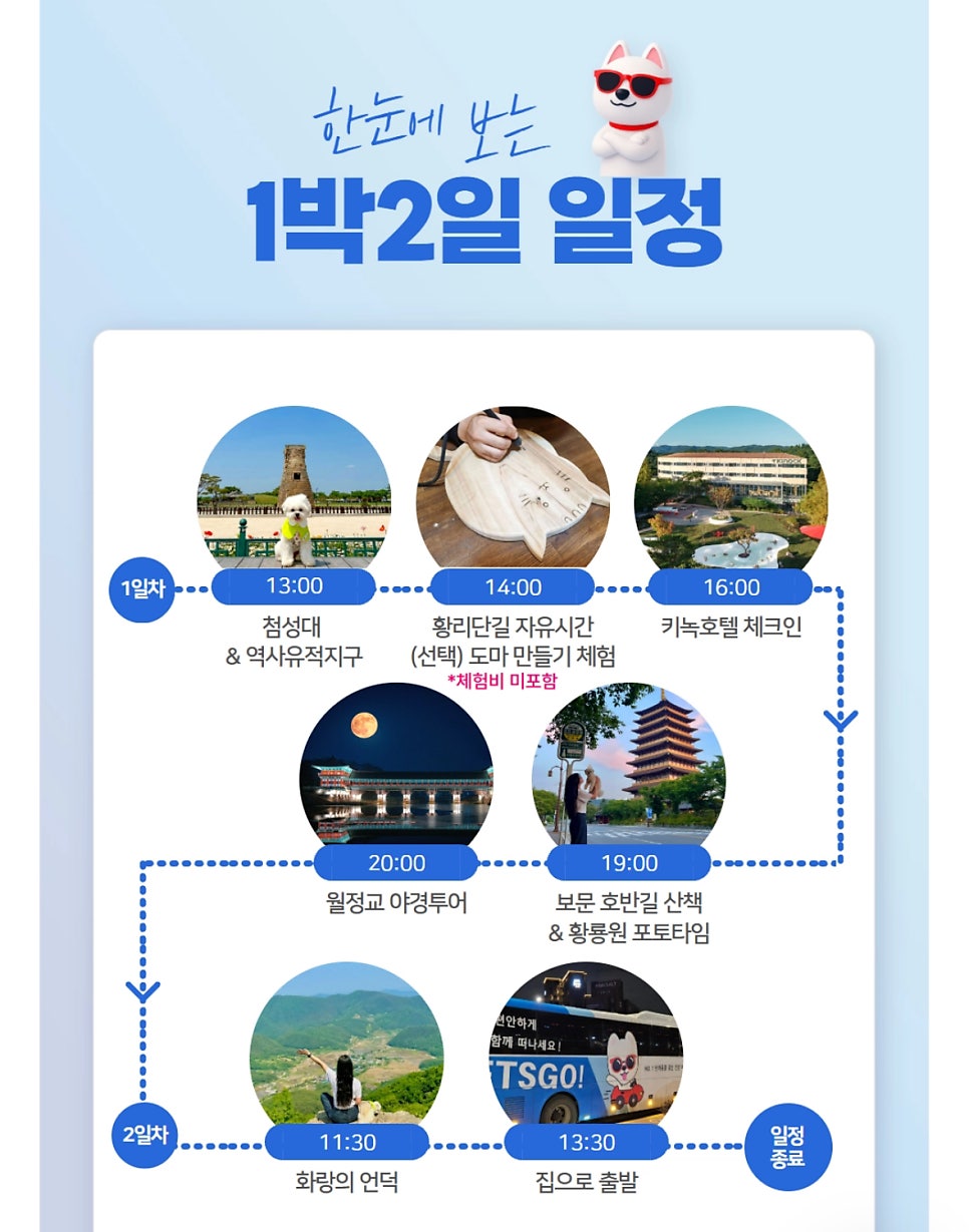 경주 키녹호텔 강아지 호캉스 1박 18만 9천원 — 사진 5