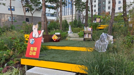 브로콜리 지역정보 관련 사진 6