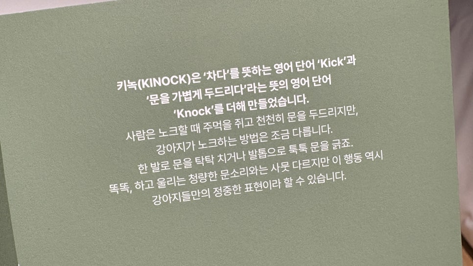 경주 키녹호텔 강아지 호캉스 1박 18만 9천원 — 사진 7