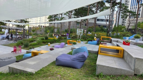 브로콜리 지역정보 관련 사진 5