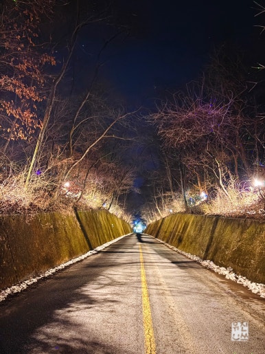 이끼터널 이미지