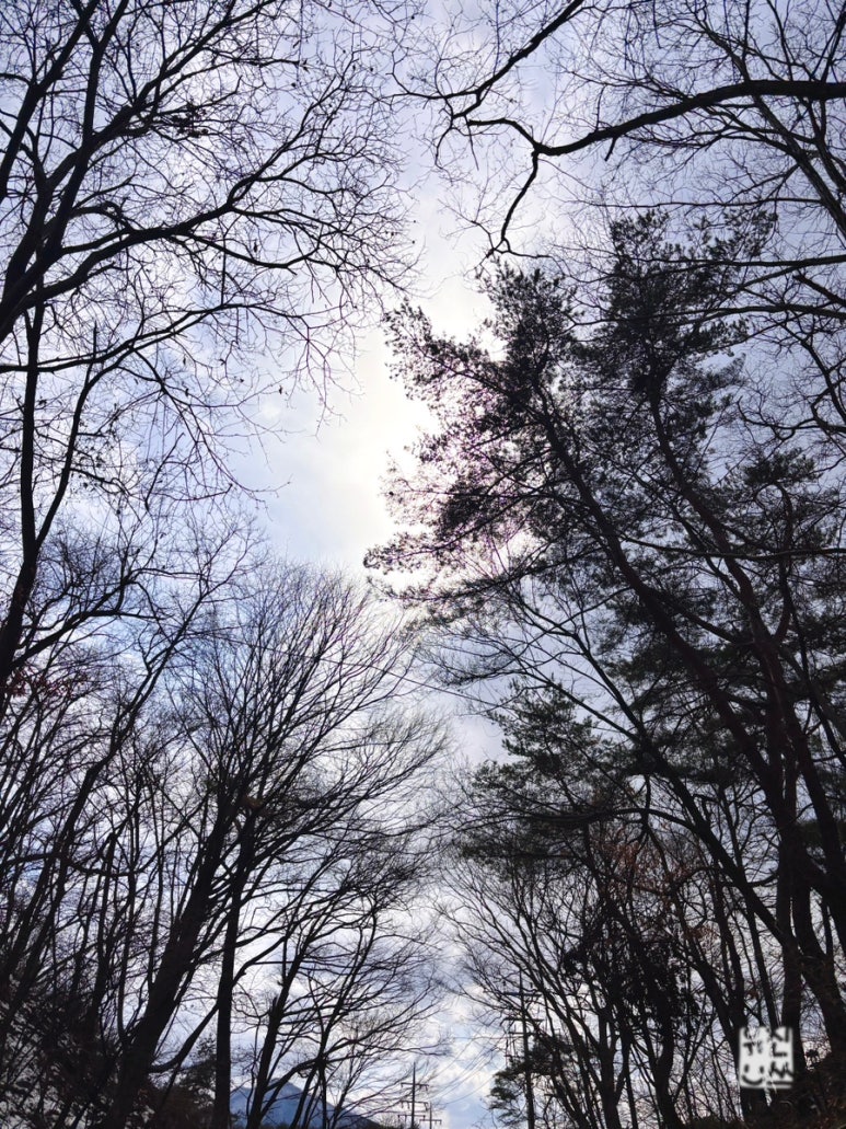 이끼터널 이미지