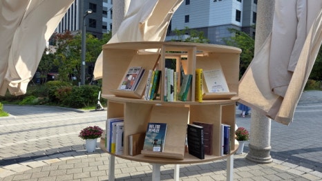 브로콜리 지역정보 관련 사진 12