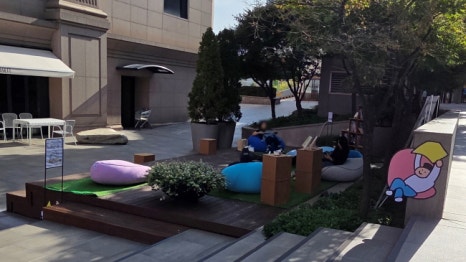 브로콜리 지역정보 관련 사진 20