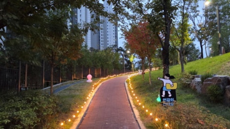 브로콜리 지역정보 관련 사진 18