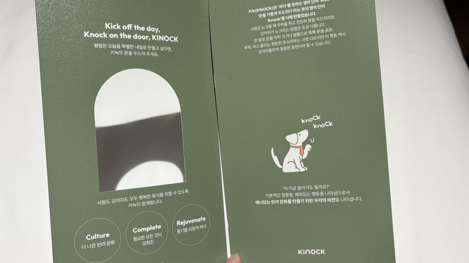 경주 키녹호텔 강아지 호캉스 1박 18만 9천원 — 사진 8